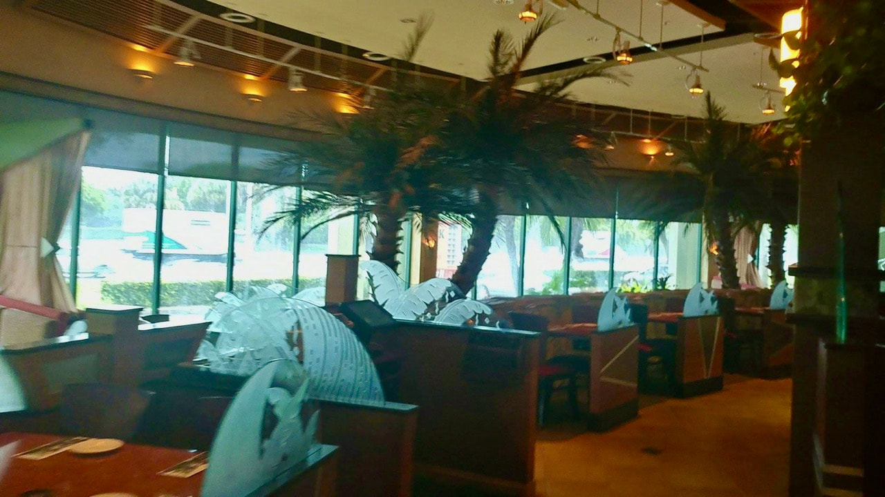 Palm frond deco film installed at Watermark Grille. Naples, FL